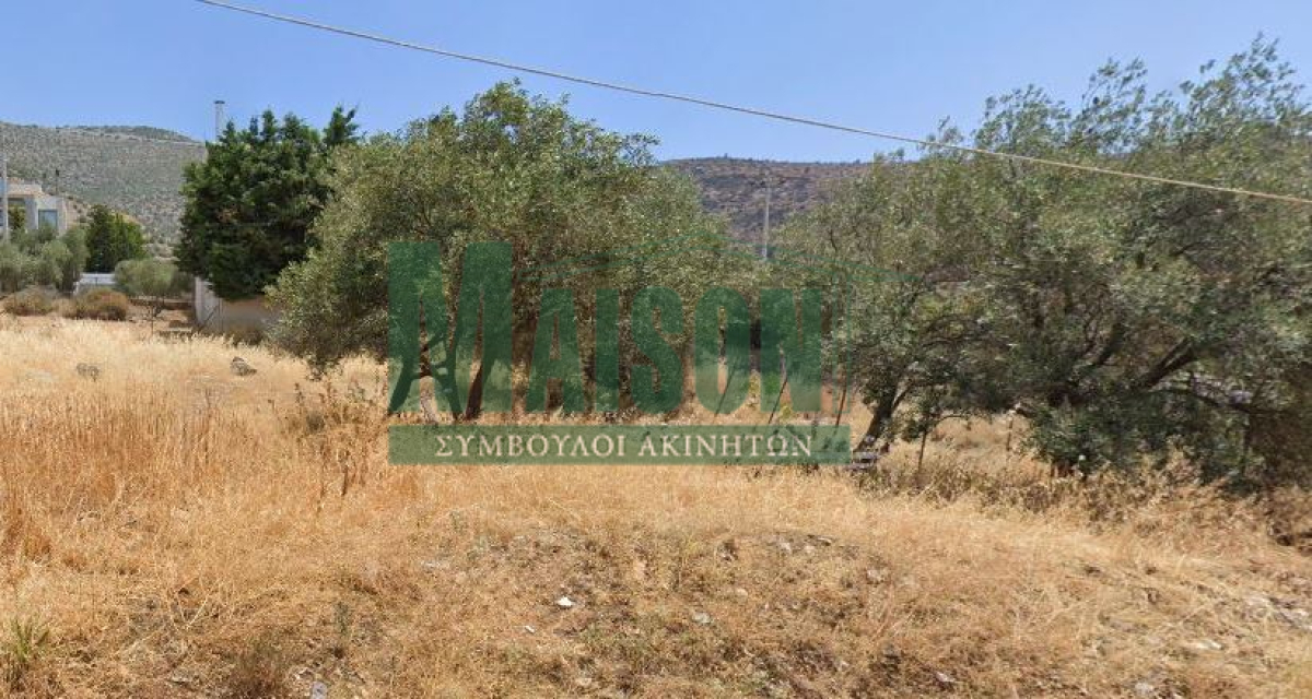 property-img