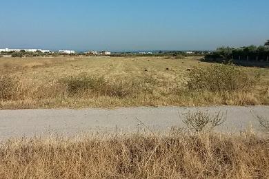 Land Lot Sale - Kos, Aegean Islands