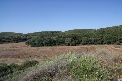 Coastal areas in Foinikounta