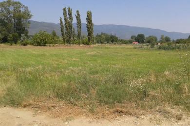 Nea Makri, Land, Sale, 1000 sq.m