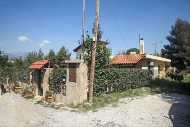 Double Detached House Sale - Kifisia, Athens - Northern Suburbs